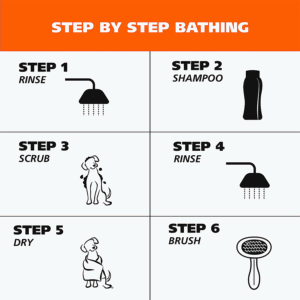 Shampoo for Dogs