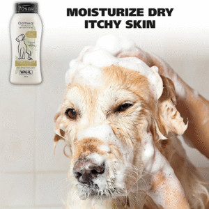 Shampoo for Dogs