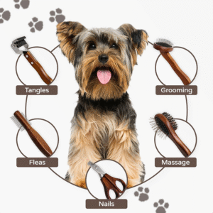 Professional Dog Grooming Kit