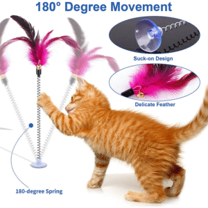 Cat Toy Set